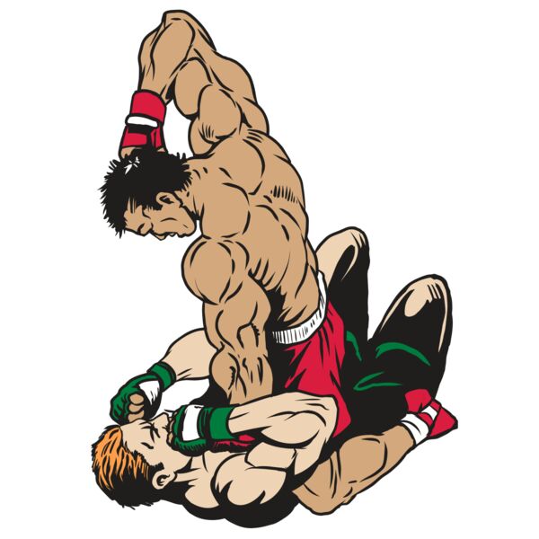 AR22 MIXED MARTIAL 07 RQC Miniaturansicht