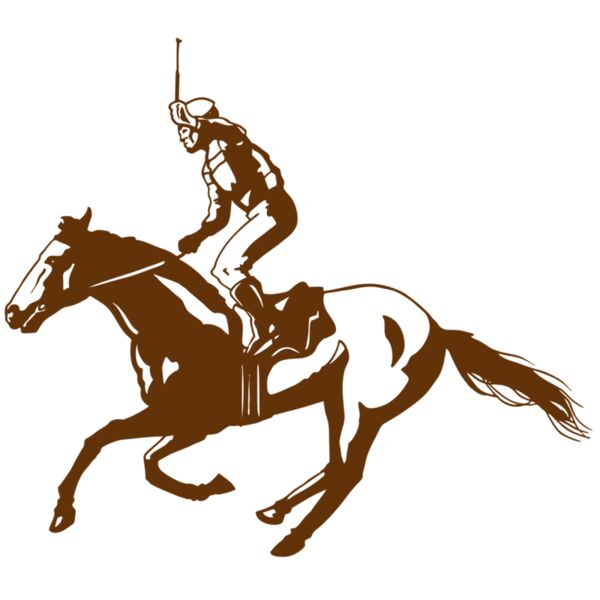 AR EQUEST 11 RC Miniaturansicht