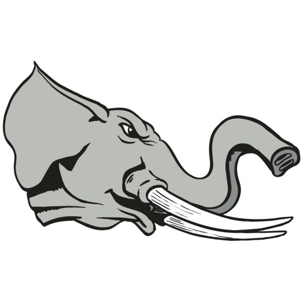 AR ELEPH 16 RC Miniaturansicht