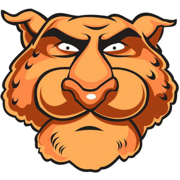 CHEETAH HD0501 RQC Miniaturansicht