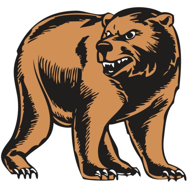 BAW BEAR 09 RC Miniaturansicht