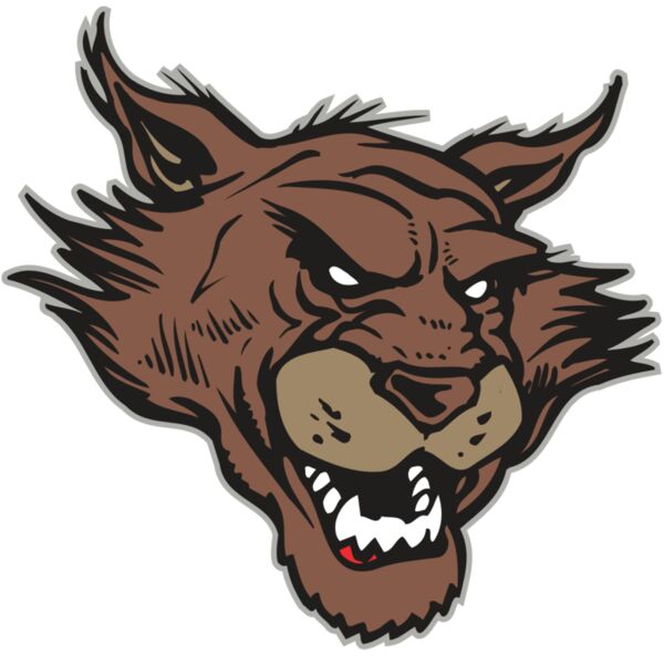 AR WILDCAT 11 RC Miniaturansicht