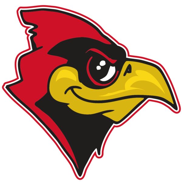 AR CARDINAL 38 RC Miniaturansicht