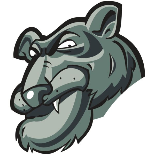 PANTHER HD0502 RQC Miniaturansicht