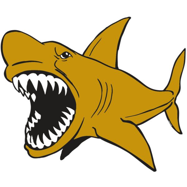 AR  SHARK 21 RC Miniaturansicht