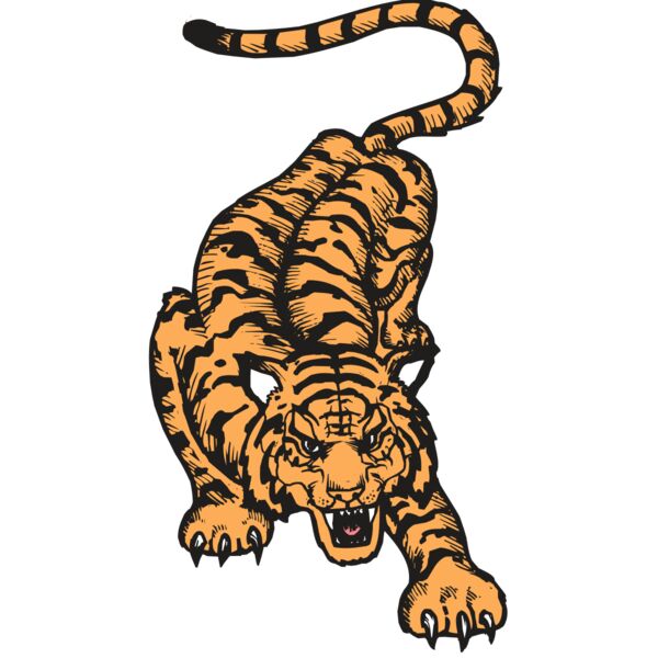 BAW TIGER 01 RC Miniaturansicht