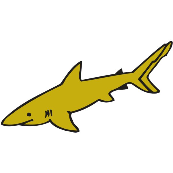 AR  SHARK 31 RC Miniaturansicht