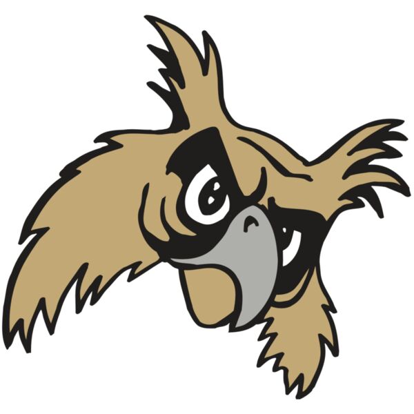 AR5 Owl 09 RQC Miniaturansicht