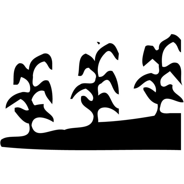 GRAIN016 Miniaturansicht