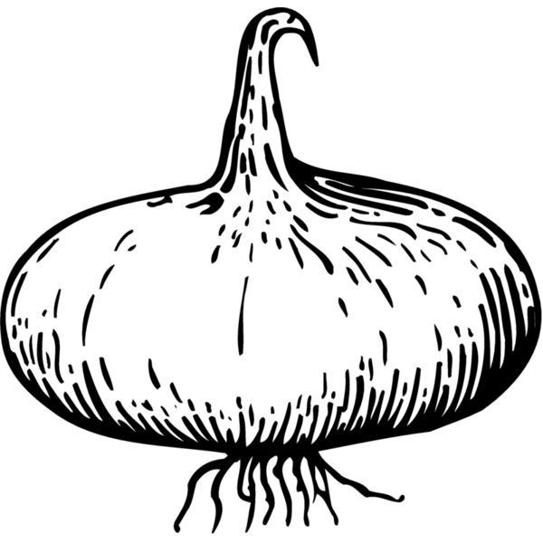 VEG004 Miniaturansicht