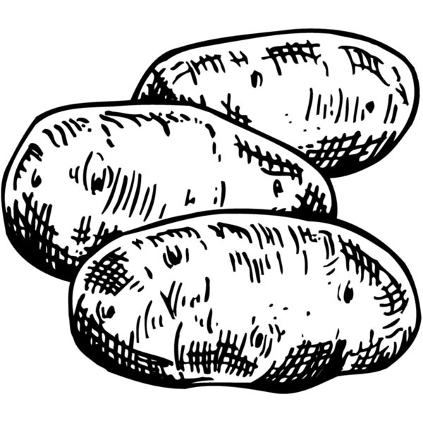 VEG013 Miniaturansicht