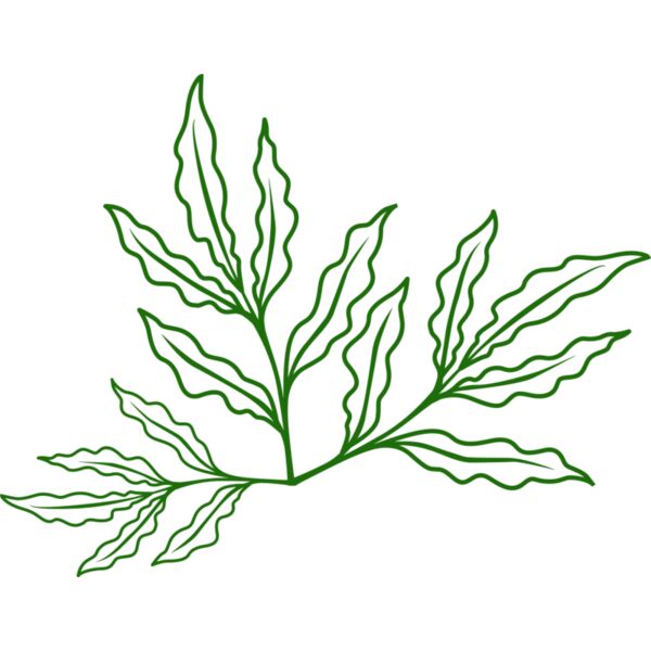 Leaves 7 Miniaturansicht