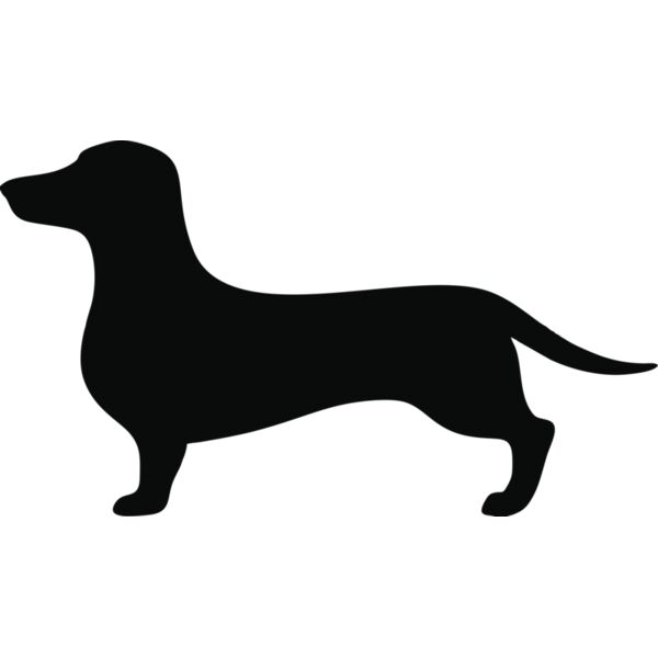 Hund Dackel Miniaturansicht