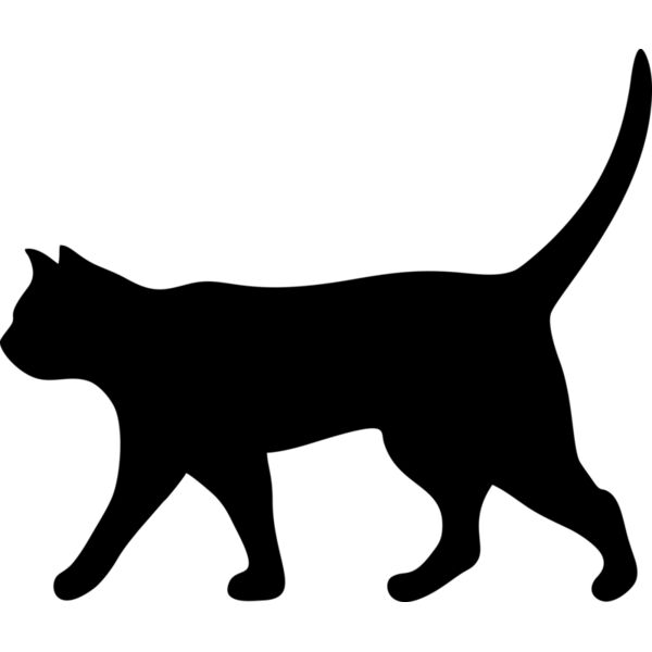 Katze Miniaturansicht