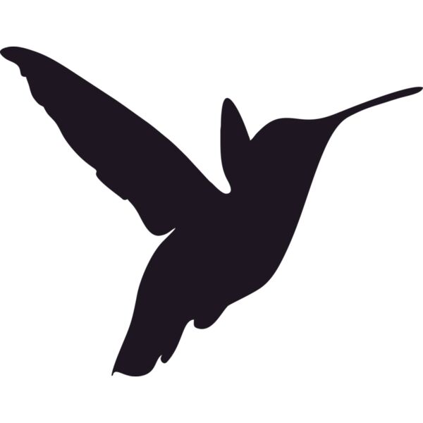 Vogel Kolibri Miniaturansicht