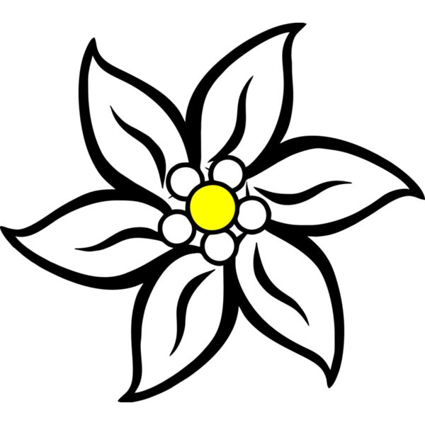 Edelweiß Miniaturansicht